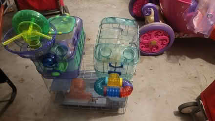 Photo of free Hamster cages (Bowie, Pointer Ridge) #4