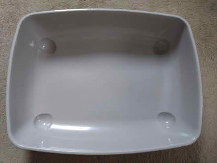Photo of free Large Cat Litter Tray (Exeter, EX1) #4