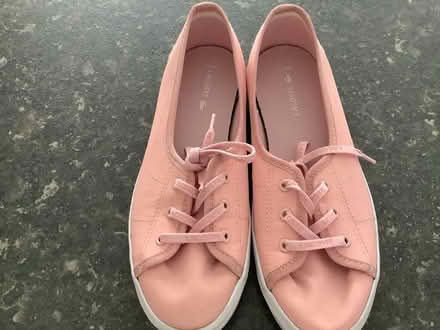 Photo of free Ladies Lacoste trainers size 6 (Heybridge CM9) #1