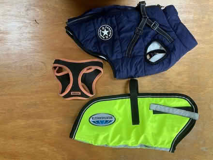 Photo of free Small dog coats and harness (Yealand Storrs LA5) #1