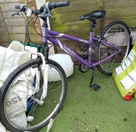 Photo of free Ladies Apollo Twilight Bike (Bishops Caundle, Sherborne DT9) #1
