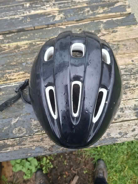 Photo of free Gardening stuff (Dursley, Cam) #3