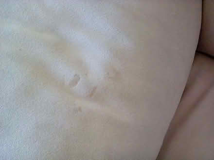 Photo of free Suede Armchair (Hayling Island PO11) #4