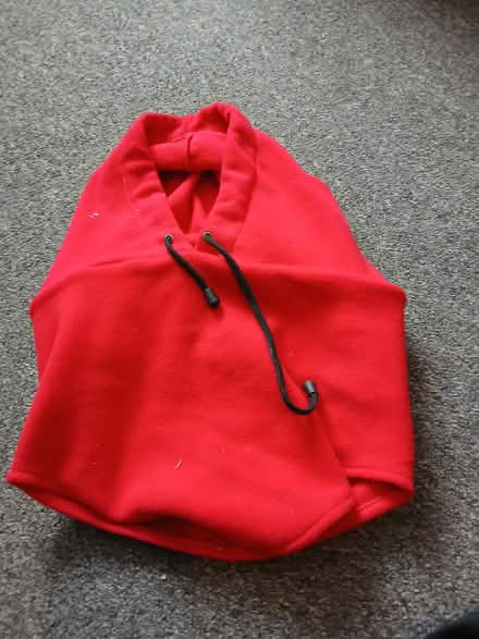 Photo of free Snood (Weeke SO22) #2