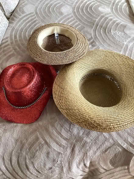 Photo of free 3 Hats (Bearwood BH11) #2