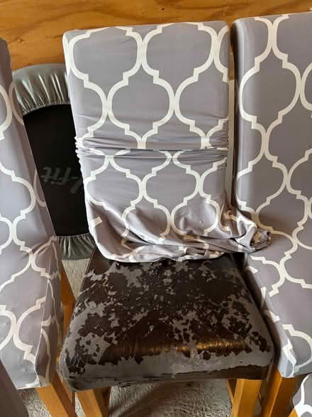 Photo of free 8 oak scroll back dining chairs (West Pennard BA6) #1