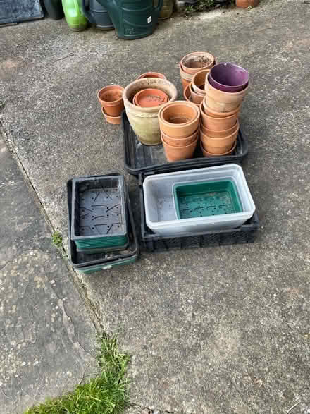 Photo of free Terracotta plant pots & sees trays (Malpas Park NP20) #1