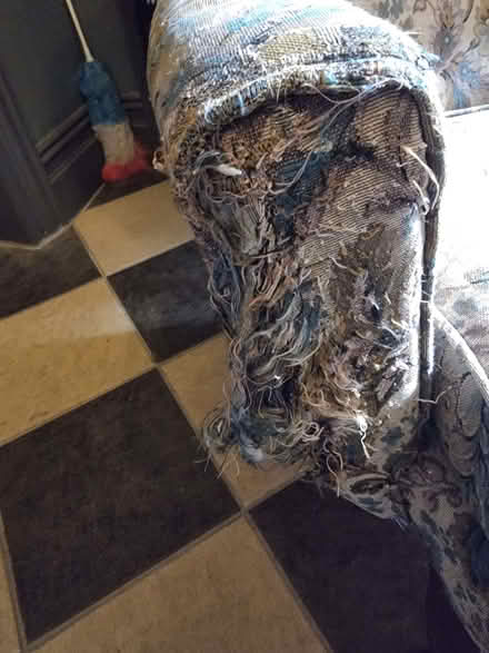 Photo of free Parker Knoll armchairs (Wallasey CH45) #2