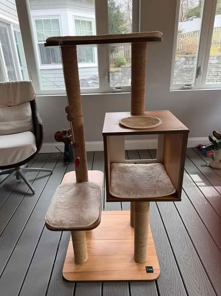 Photo of free Cat Tower (Coolidge Corner, Brookline) #2