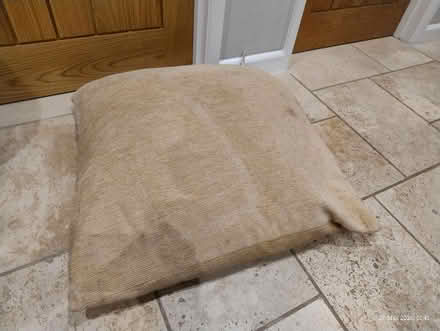 Photo of free Large John Lewis corduroy cushion no 3 ! (Dursley GL11) #1