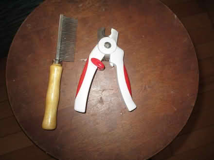 Photo of free miscellaneous items - in Carp (West Carleton - Carp) #1