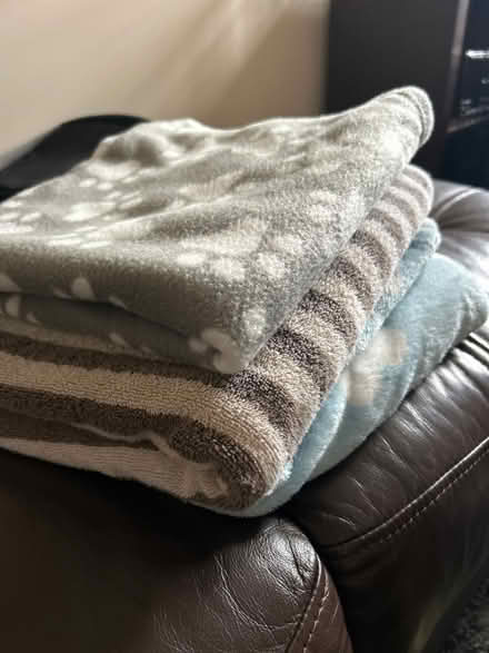 Photo of free Fleeces /towel suitable for puppy (Plumpton CA11) #1