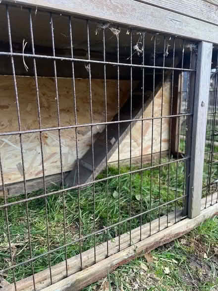 Photo of free Rabbit/guinea pig hutch (Watford WD3) #4
