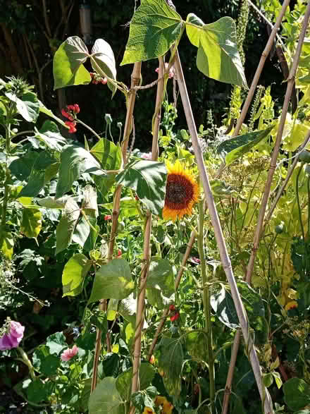 Photo of Watering Can (Cullercoats NE30) #1