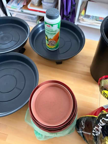 Photo of free Springtime Gardening (Finnieston G3) #3