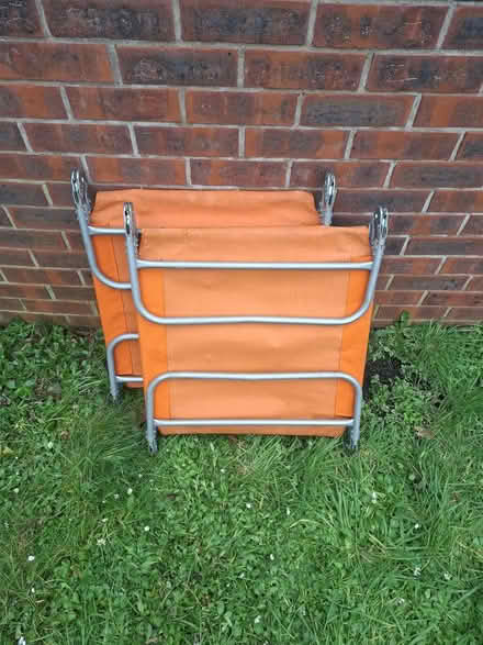 Photo of free Gardening stuff (Dursley, Cam) #1