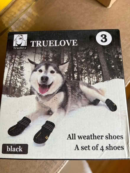 Photo of free Shoes for a med sz dog (Saratoga Village) #1