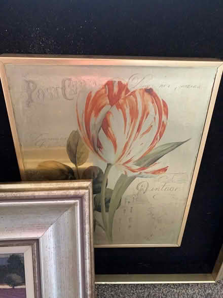 Photo of free Pictures (West Denton NE15) #4