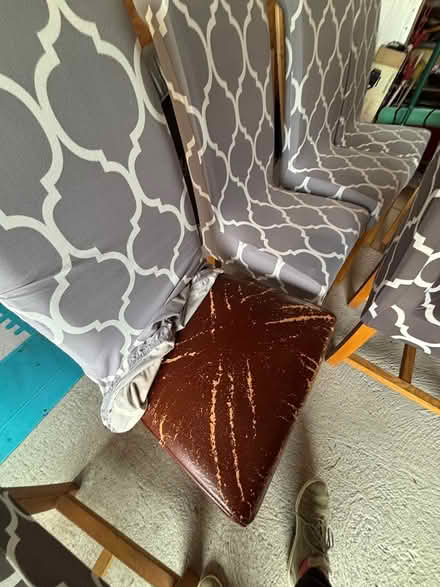 Photo of free 8 oak scroll back dining chairs (West Pennard BA6) #4