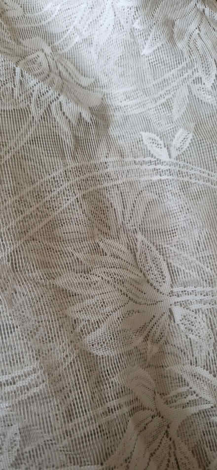 Photo of free Net curtain (Northcourt OX14) #1