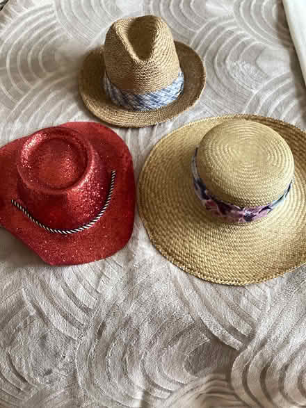 Photo of free 3 Hats (Bearwood BH11) #1