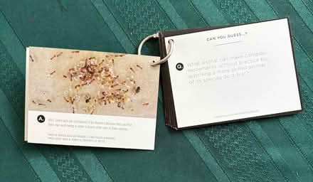 Photo of free Animal facts cards (Ossining) #2