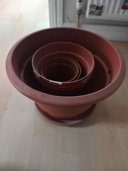 Photo of free Plastic plant pots and trays (Crouch End) #1