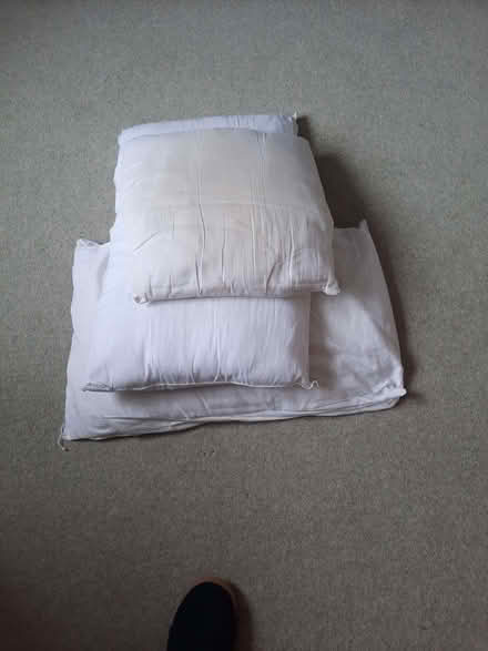 Photo of free very old pillows - of use for pets? or craft projects? (Heeley S2) #1