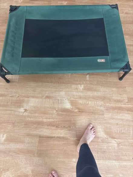 Photo of free Dog toy and dog bed (International District) #2