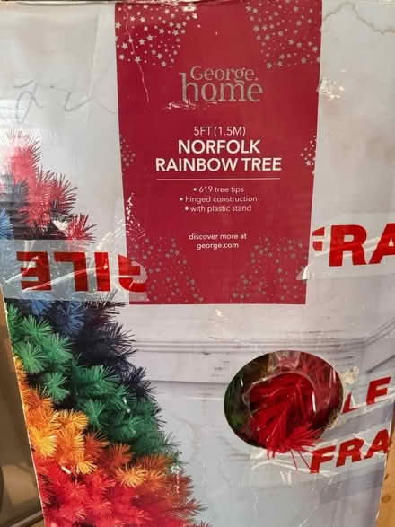 Photo of free 5ft Norfolk Rainbow Tree (Orpington/ Sidcup BR5) #1