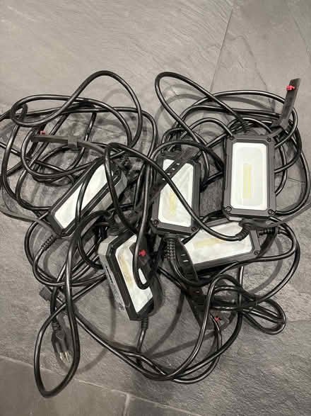 Photo of free Husky work light strand (60093) #1