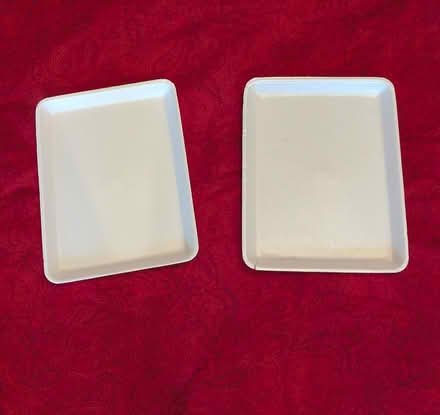 Photo of free Styrofoam trays-for starting seeds? (W section, Bowie) #1