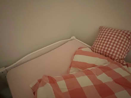 Photo of free Single bed (Drayton Park N5) #3