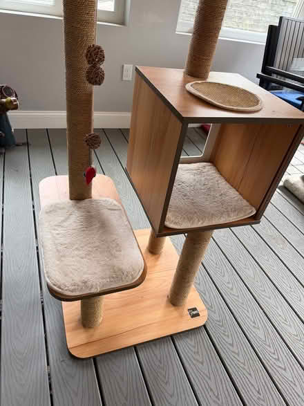 Photo of free Cat Tower (Coolidge Corner, Brookline) #3