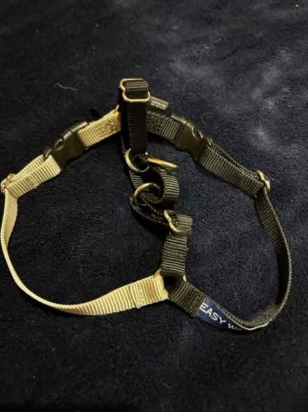 Photo of free Easy Walk harness for dogs (East Boulder) #1