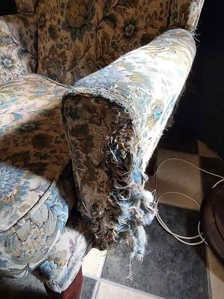 Photo of free Parker Knoll armchairs (Wallasey CH45) #3
