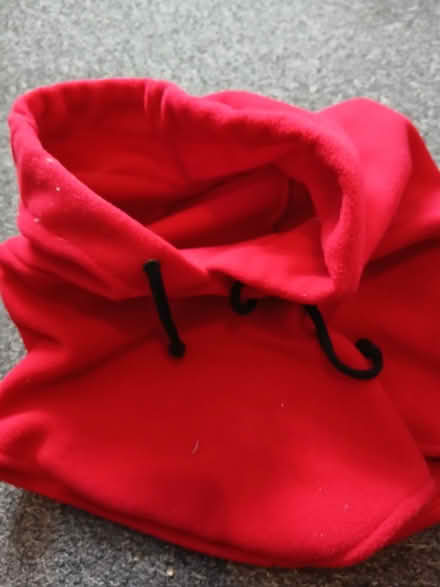 Photo of free Snood (Weeke SO22) #1