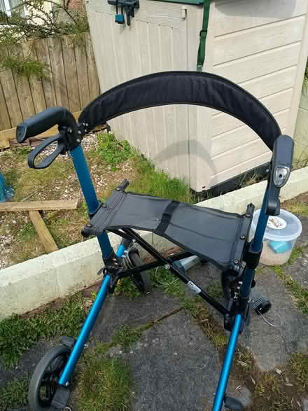 Photo of free walker (Totnes TQ9) #3