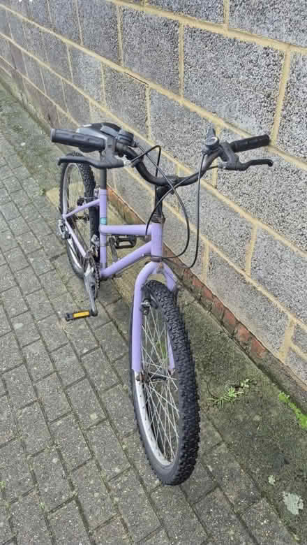 Photo of free Girls bike 20 inch (UB1) #3