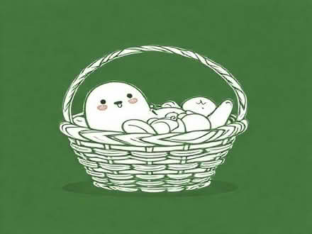 Photo of Baby moses basket (Farnley LS12) #1