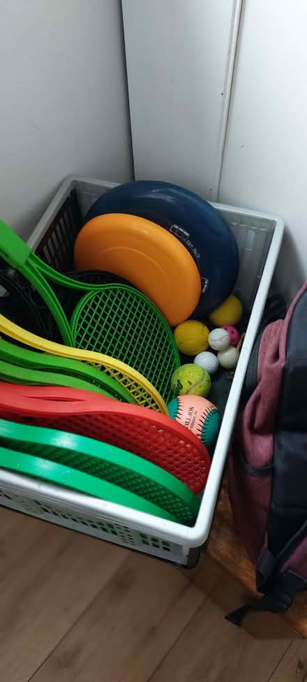 Photo of free Raquets , Frisbees, balls. (Hersham KT12) #2