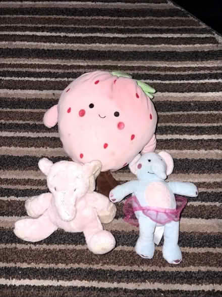 Photo of free Teddies (Coventry) #1