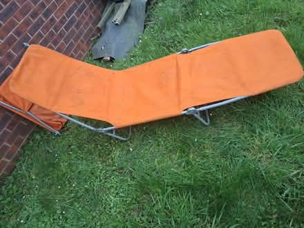 Photo of free Gardening stuff (Dursley, Cam) #2