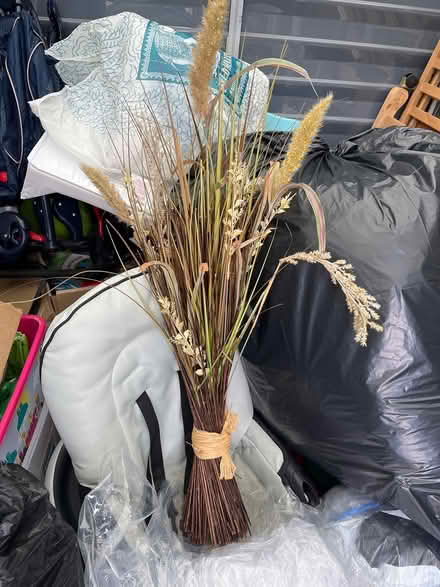 Photo of free Decorative greenery (Oradell) #1