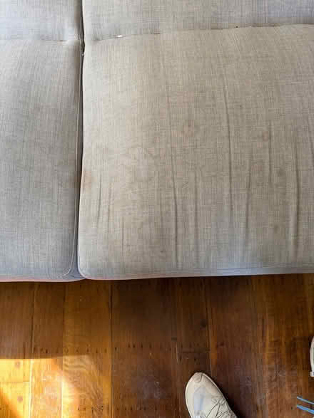 Photo of free Sofa/Bed (North Berkeley) #3
