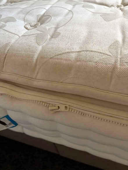 Photo of free Divan single bed (2 (DD2 lochee area) #1