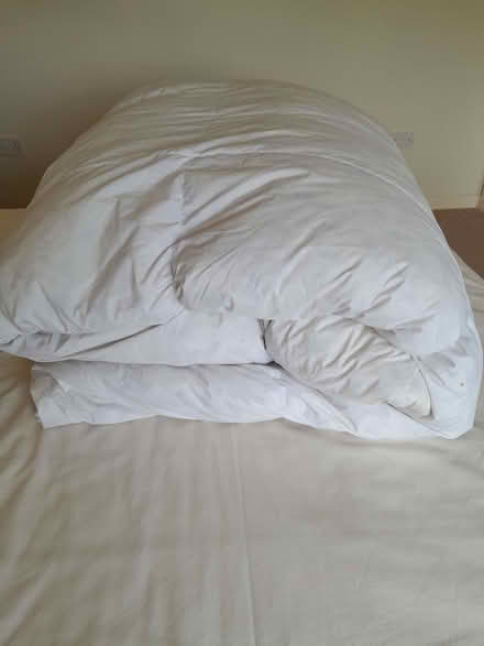 Photo of free Duvet,duck feather (Forden SY21) #3