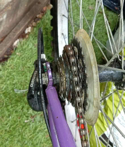 Photo of free Ladies Apollo Twilight Bike (Bishops Caundle, Sherborne DT9) #2