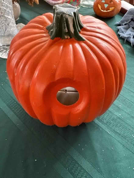 Photo of free Halloween items (Ossining) #2