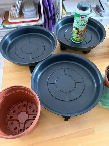 Photo of free Springtime Gardening (Finnieston G3) #4